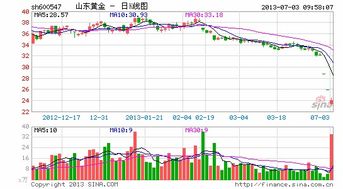 山东黄金什么时候复牌