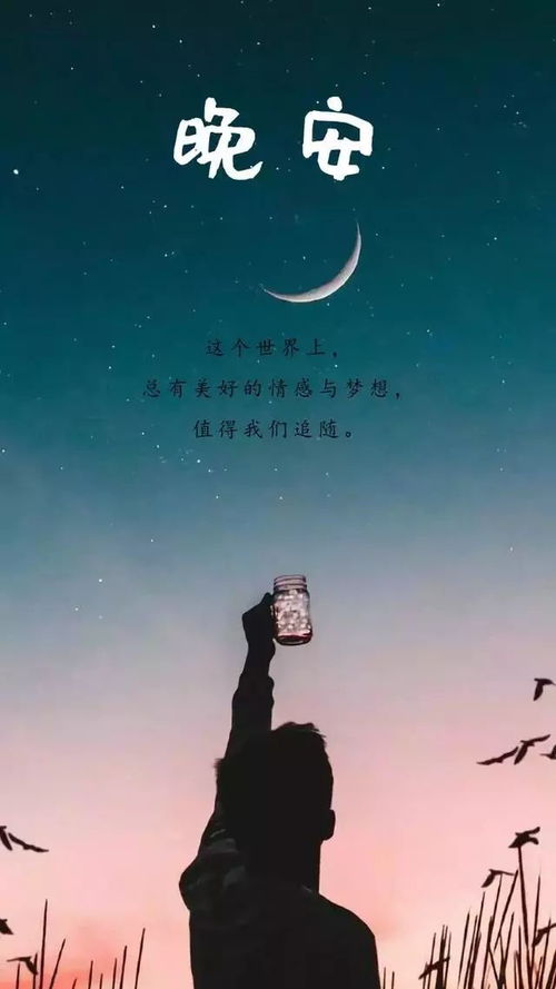 晚安 名言-男人的夜晚经典语录？