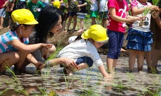 小小传承人 日本培养幼儿生存能力,踩泥巴幼儿园