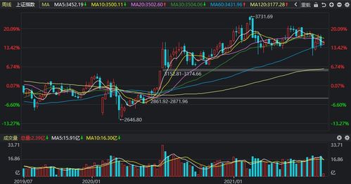 600114今天的13点51分那个直线拉升是啥意思呢！ PH你就快回答吧真服你了