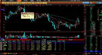 怎 么 样 看 股 票 软 件 图 ？