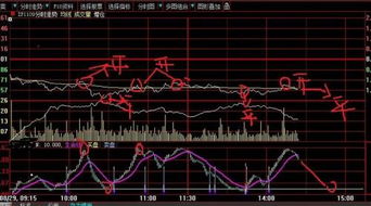 通达信分时主图指标，求高手帮忙编一个跟下图一样的分时图公式……