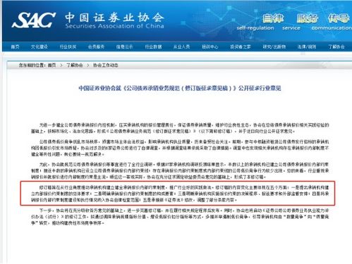 作文查重不再迷茫，中国知网查重规则为你指明方向