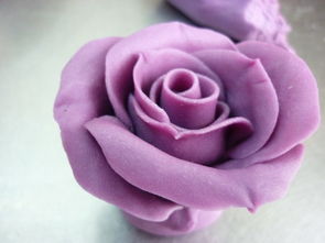 紫玫瑰的做法 菜谱 