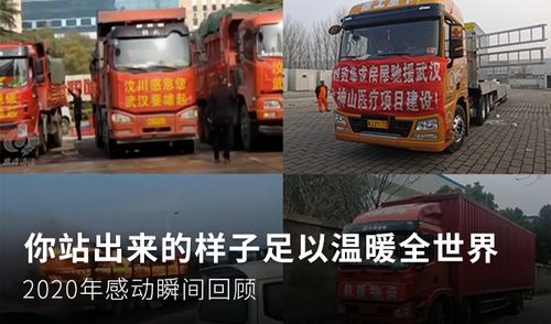 宜宾地区想买一辆装货的汽车 能装10吨左右的，什么牌子的啊？跃进这款车可以吗？我朋友买了辆跃进的8万元