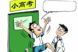 江苏小高考？江苏省小高考啥意思