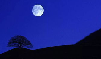 关于月亮的诗句呼作白玉盘