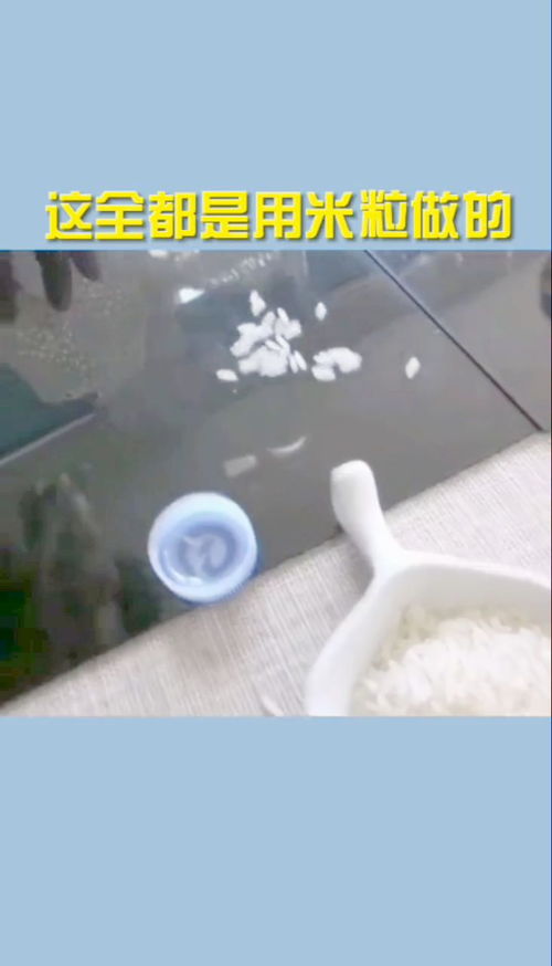 这些全部是用米粒做出来的,要是蒸熟了该是什么样 