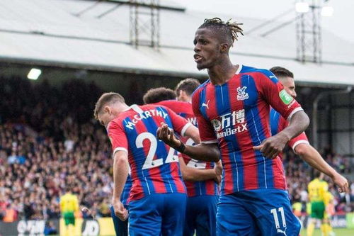 crystal palace đấu với brighton,Giới thiệu về Crystal Palace