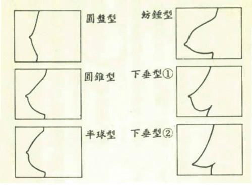 科普贴 关于胸型和胸围,女生一定要知道的 