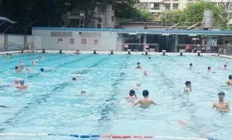 广州各大泳池已开放 清凉一夏来这就够了 