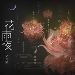 花雨夜歌词是什么意思,张清芳 花雨夜写的是什么地方?