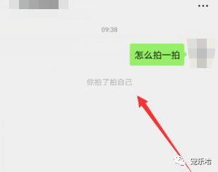 还不会玩拍一拍 我教你,微信拍一拍怎么拍自己