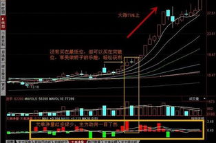 涨停先锋《涨III》、《涨IV》、《涨V》这几个系列哪款比较好用？要适合新手使用的。