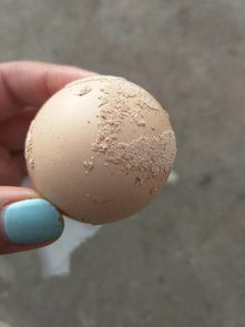鸡蛋上面很多虫卵一样的东西,密密麻麻的,是不是鸡生病了 