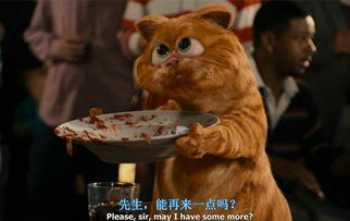 加菲猫不好好吃饭,加菲猫不乖乖吃饭 