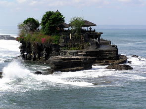 巴厘岛旅游回国必带，谁知道巴厘岛海边捡的贝壳和珊瑚石能过海关吗