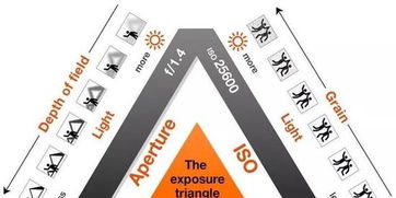 摄影教程 五分钟了解曝光三要素