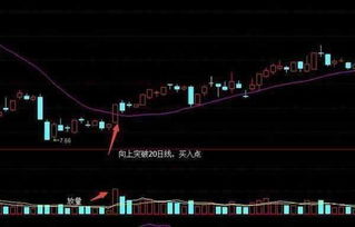 看20日均线，一般股价高出20日均线的%多少可能会就回调？