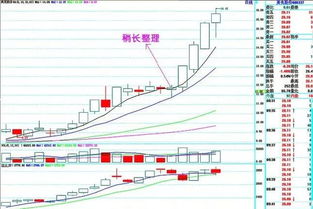 炒股菜鸟怎么学会使用红三兵?