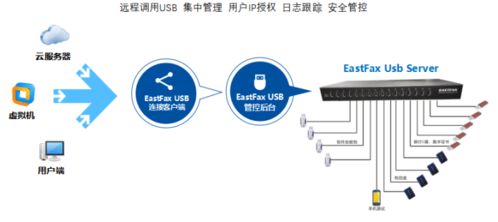 热成像循环系统检查是什么