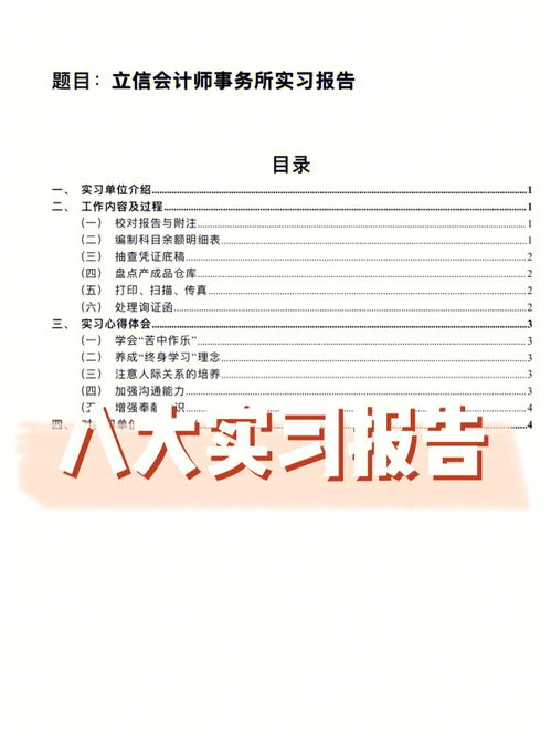 会计师事务所实习报告范文(会计师事务所实习日记范文怎么写)