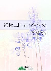 终极三国之盼情何处 盼兮寰惜 