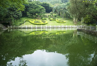 烟雨四月,赴一场与广东的约会,更美的风景总在下一站