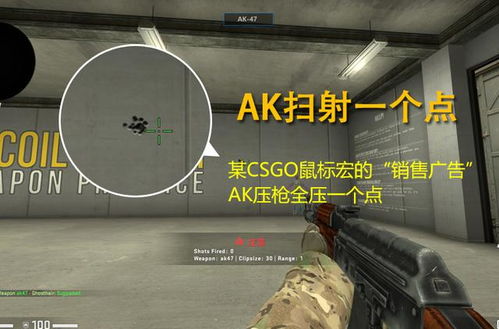 《揭秘网络世界：探析CSGO辅助网站现状及危害》