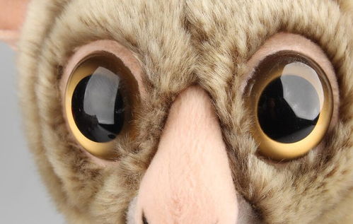一组动物的眼睛,瞳孔的颜色,你能猜出来它们是谁吗