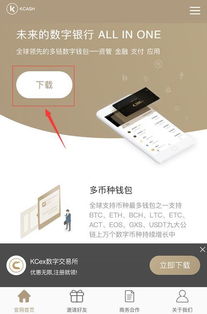 bsv币谁开发的,BSV-比特币SV是什么？