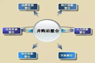 迈瑞医疗欲收购DiaSys