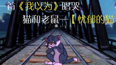 动画片 有一种感情叫猫和老鼠汤姆杰瑞