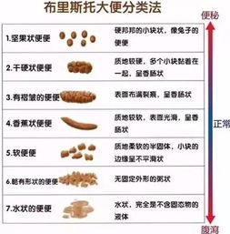 天天传奇清肠水疗,洗走小肚腩,健康又漂亮.. 烟雨凄迷的主页 