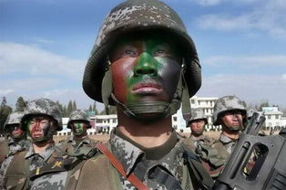 印度和中国的军事新闻报道,印度与中国：军事力量对比与区域安全挑战