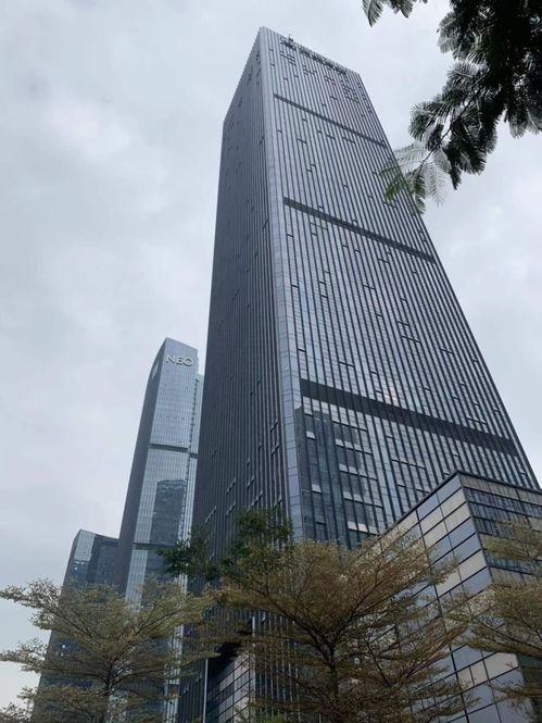 私募投资巨擘以2.85亿购得上海豪宅！