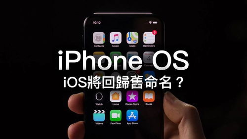 iphone12文件夾改名