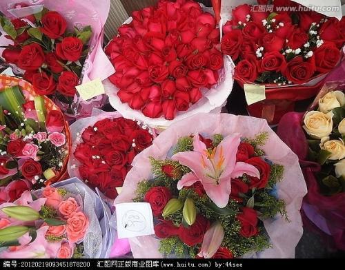 花店买回来的玫瑰花怎么养,让玫瑰花开满房间，掌握这几点，让爱情持续绽放！