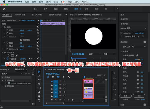 Pr 入门教程合集 40 如何添加轨道遮罩键