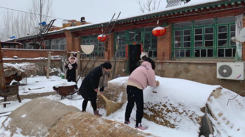 下雪了,希望这场雪带走病菌,疫情快点结束 一切美好将如约而至 