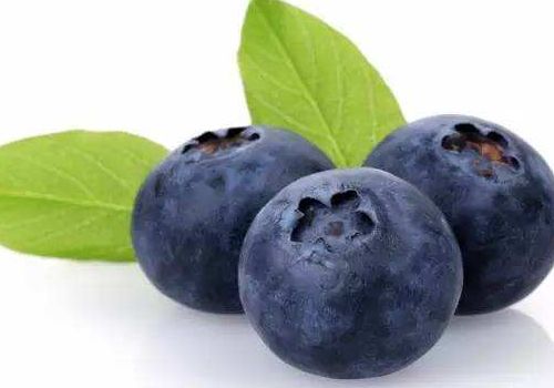 蓝莓一天中什么时候吃最好 蓝莓饭前吃还是饭后吃