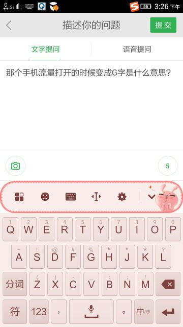 l网和g网是什么意思