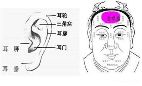 富甲一方的面相(富甲一方手相)