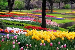 活动成行 阳光初好,许你一场春暖花开 4月2日省森林植物园赏花踏青游