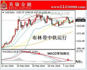 有没有好的贵金属模拟交易平台?以前用过股票的模拟交易平台叫什么牛的，现在想小额地投资一点贵金属。