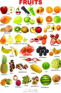 所有水果的英文名称是什么 