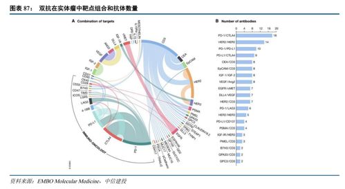 2024虚拟币风口,虚拟币风口 2024虚拟币风口,虚拟币风口 行情