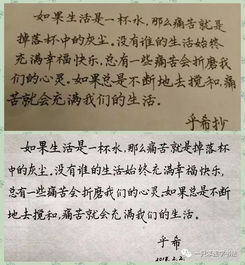 练字进步了是吧,送幅春联乐呵一下 