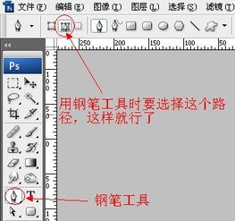 ps钢笔工具怎么填充颜色(ps钢笔工具画的图形怎么填充颜色)