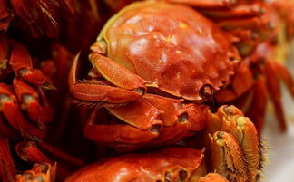 感冒后气管炎能吃螃蟹吗,感冒,扁桃体发炎可以吃螃蟹吗?